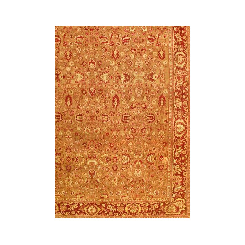 Agra Wool Oriental Area Rug in Brown/Red