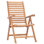 Francisco Outdoor Teak Dining Armchair