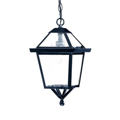 Ernestine Outdoor Hanging Lantern