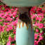 Ceramic / Porcelain Birdbath-798490160