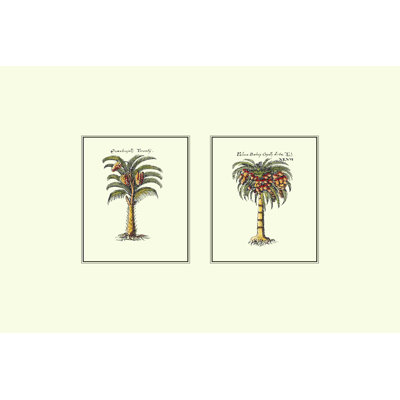 " Miniature Palm II "