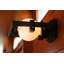 Robie 1 - Light Flush Mounted Sconce-1116722102