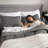 Bedsure Cooling And Warm Bed Set-110561858-106246488