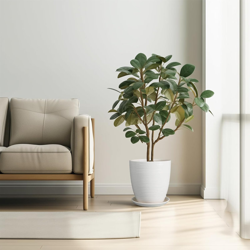 Pot à fleurs en céramique de 10 pouces avec trou de drainage et soucoupe