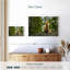 Renard roux Brampt-108821698