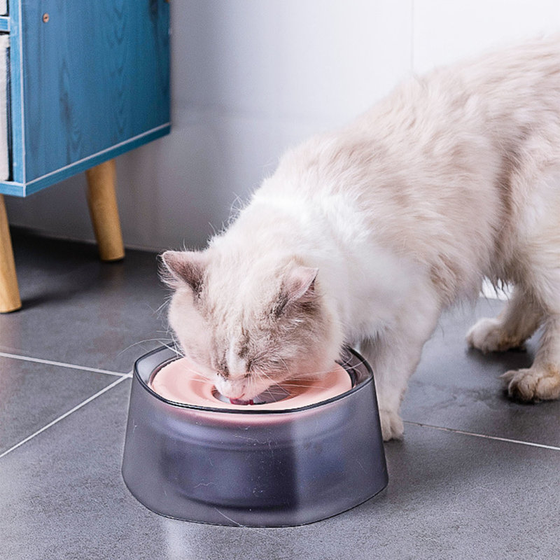 Pet Bowl, Pink