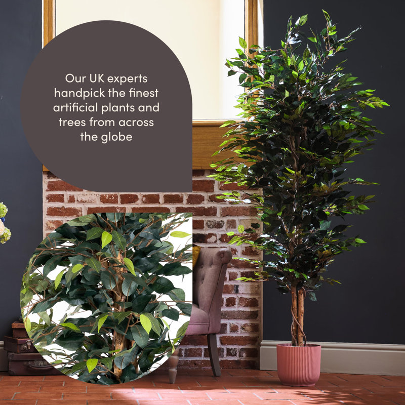 180cm Plant