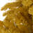 Traditional Gold Christmas Tree with Lights, Tree Prelit with Metal Stand-432555648