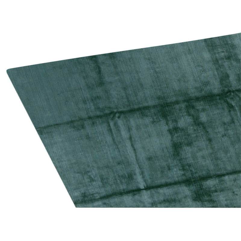 Hand Knotted Area Rug in Light Green