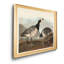 Barnacle Goose - reproduction d'art sur toile-1452761695-1452761690