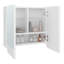 Armoire à pharmacie Patience, deux portes battantes, trois tablettes spacieuses, design moderne et minimaliste
