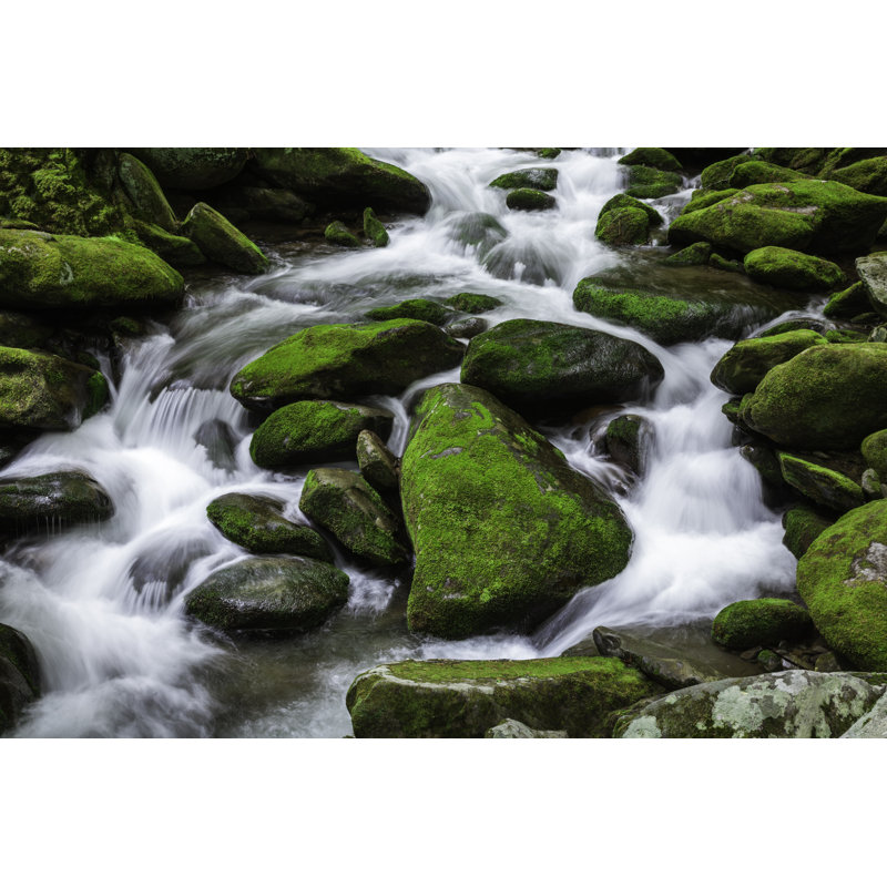 Water Stream In Forest by Dszc - Wrapped Canvas Print, 30cm H x 46cm W x 3.8cm D