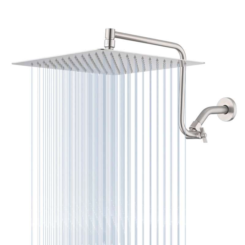 Rain Adjustable Shower Head 2.0 GPM GPM, Brushed Nickel