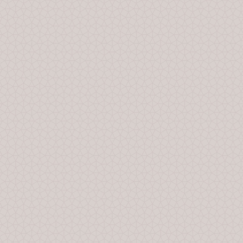 Wooten 10.05m x 53cm Matte Paste the Wall Wallpaper Roll, Silver