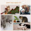 Ensemble de tablettes murales pour chat 6 pièces Pawhut