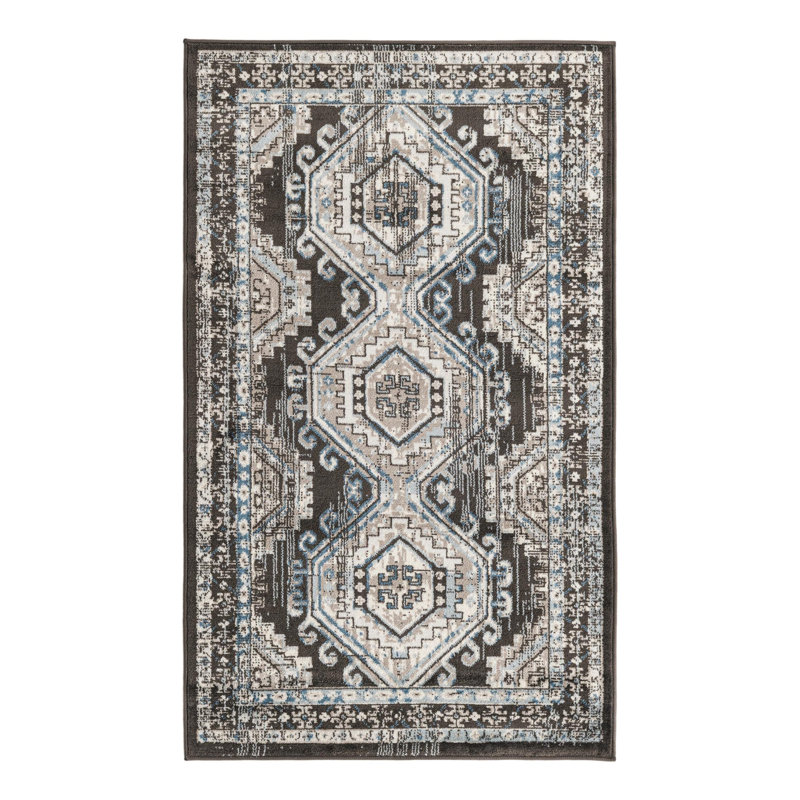 Shanil Oriental Indoor Rug, Rectangle 3'1" x 5'3"