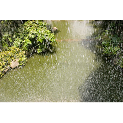 A Tropical Rainfall Over A Tropic River - Wrapped Canvas Print