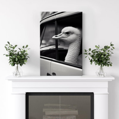 Bird " Funny Animal Decor Bird In Car "