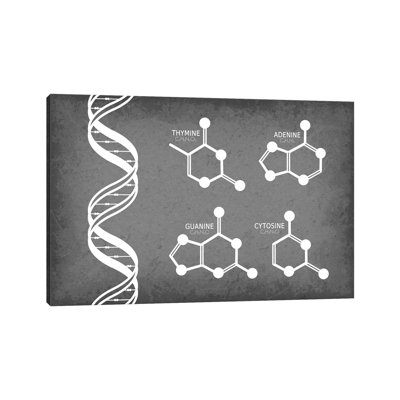 " DNA Strand With Nucleotide Molecules "