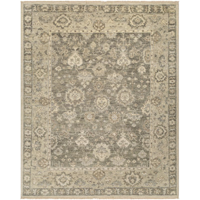 Biscayne Wool Oriental Area Rug