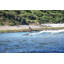 Aqua Marina - Rapid 9' 6" White Water Inflatable Stand Up Paddle Board (isup)-102222003