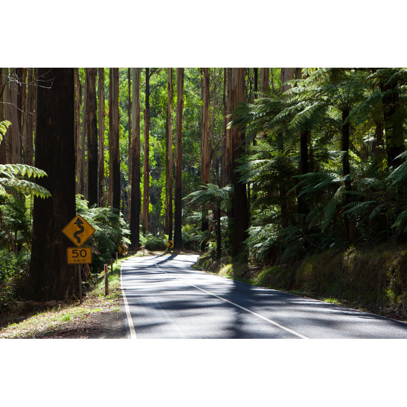 Black Spur by FiledIMAGE - Wrapped Canvas Print, 51cm H x 76cm W