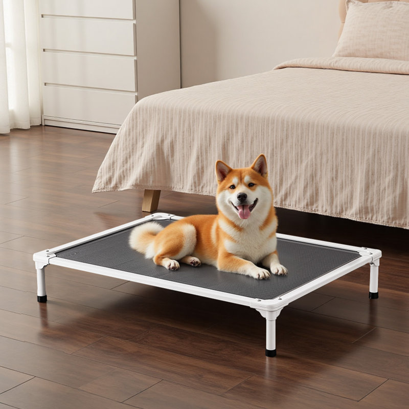 Lit surélevé pour grands chiens