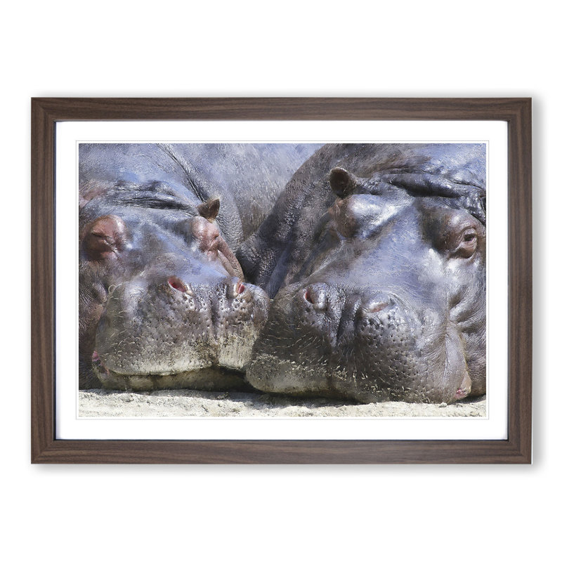 Two Hippos - Framed Print, Walnut Framed, 36cm H x 48cm W x 2cm D