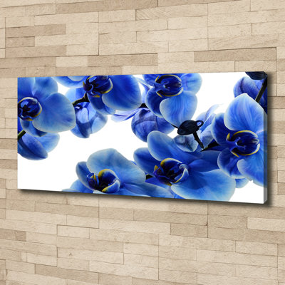 Blue Orchid - Wrapped Canvas Print