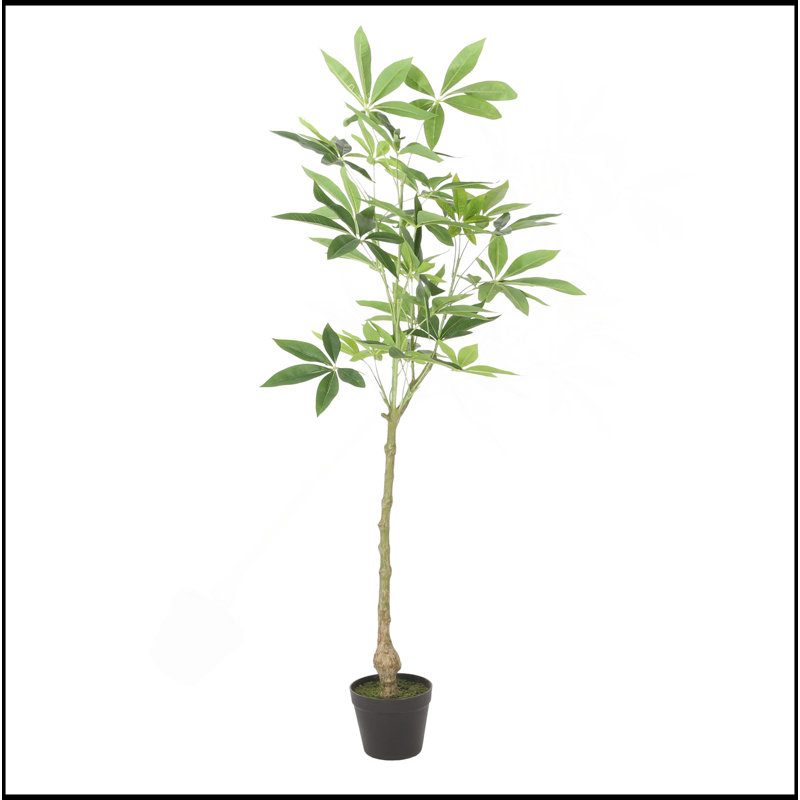 120CHA PACHIRA Macrocarpa artificiel, H 47,2 po x l 23,6 po x P 19,7 po