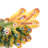 Colorful Peacock Wall Lamp