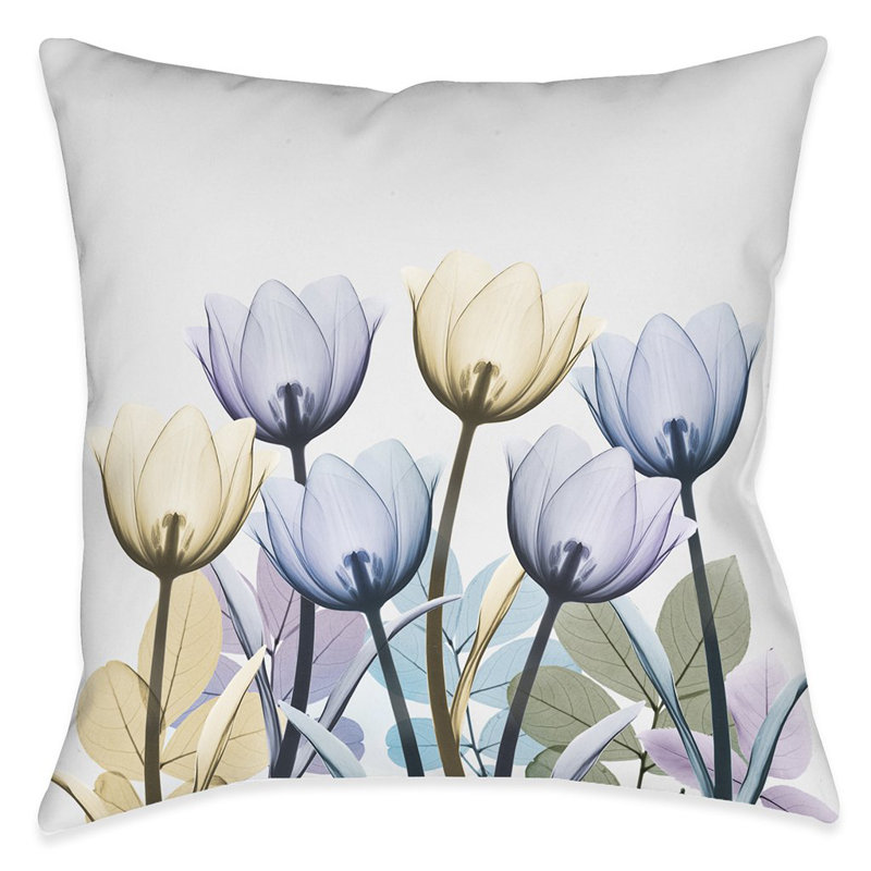 Coussin Spring, Non