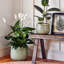 Indoor Planter, Reactive Glaze Como Pot-1228869588-1228869589