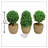 5.5'' Faux Boxwood Topiary in Pot