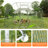 Chicken Run Coop with Waterproof Cover for Up to 15-20 Chickens-1097737951
