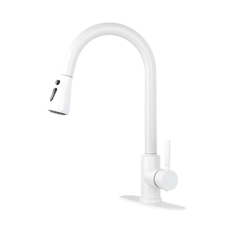 Kitchen Faucet With Pull Out Spraye