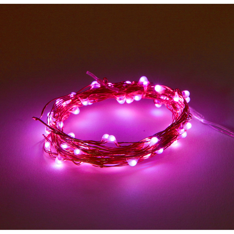 Guirlande de 20 lumières DEL Stollings, Rose
