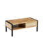 Table basse moderne en rotin naturel avec porte coulissante et pieds en métal, 40,16 po | Idée cadeau-229196187-229196184
