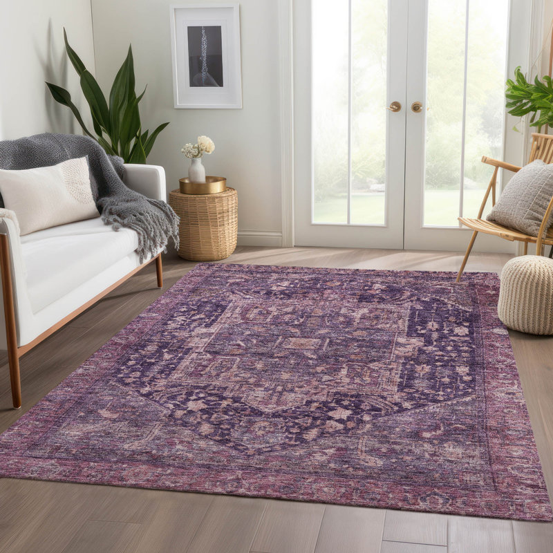 Machine Washable Indoor/Outdoor Claudian ACN1240 Eggplant Rug, Rectangle 3' x 5'