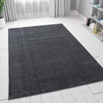 Hebbville Handwoven Grey Rug