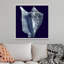 « Indigo shells I » par vision studio-impression-1160195861-1160195871