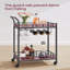 Ekamjeet Metal Bar Cart