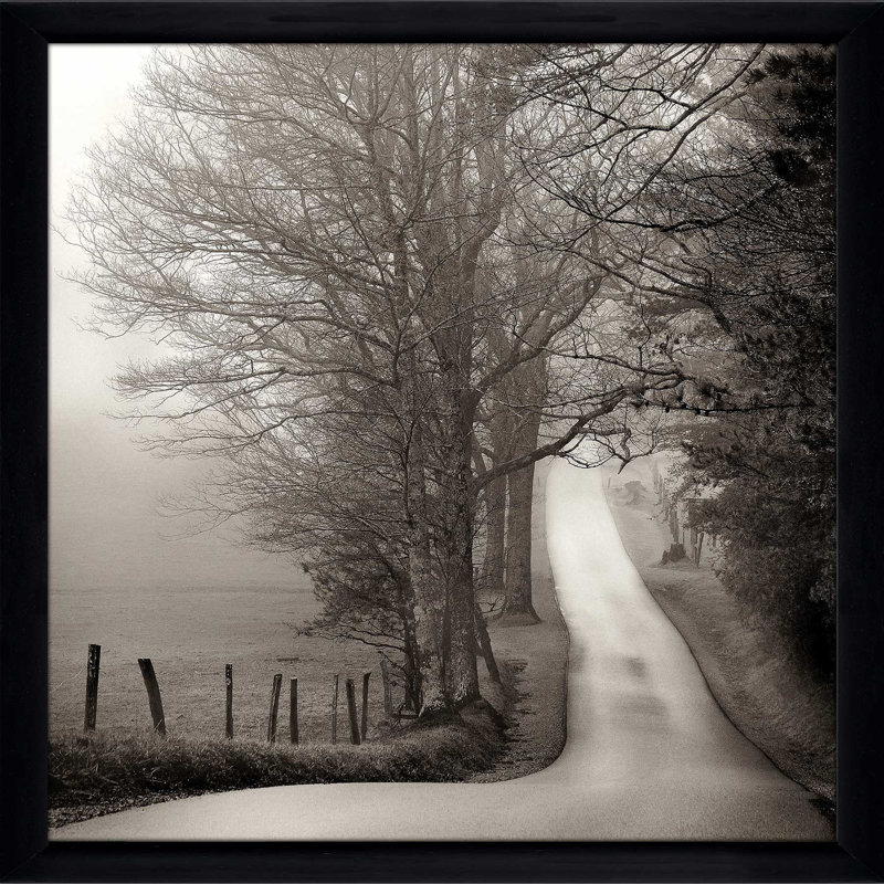 Cades Cove par Nicholas Bell - photographie, Cadre noir, H 25,5 po x l 25,5 po x P 1 po
