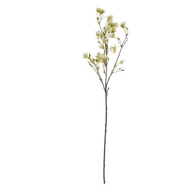 Anastasija Arrangement