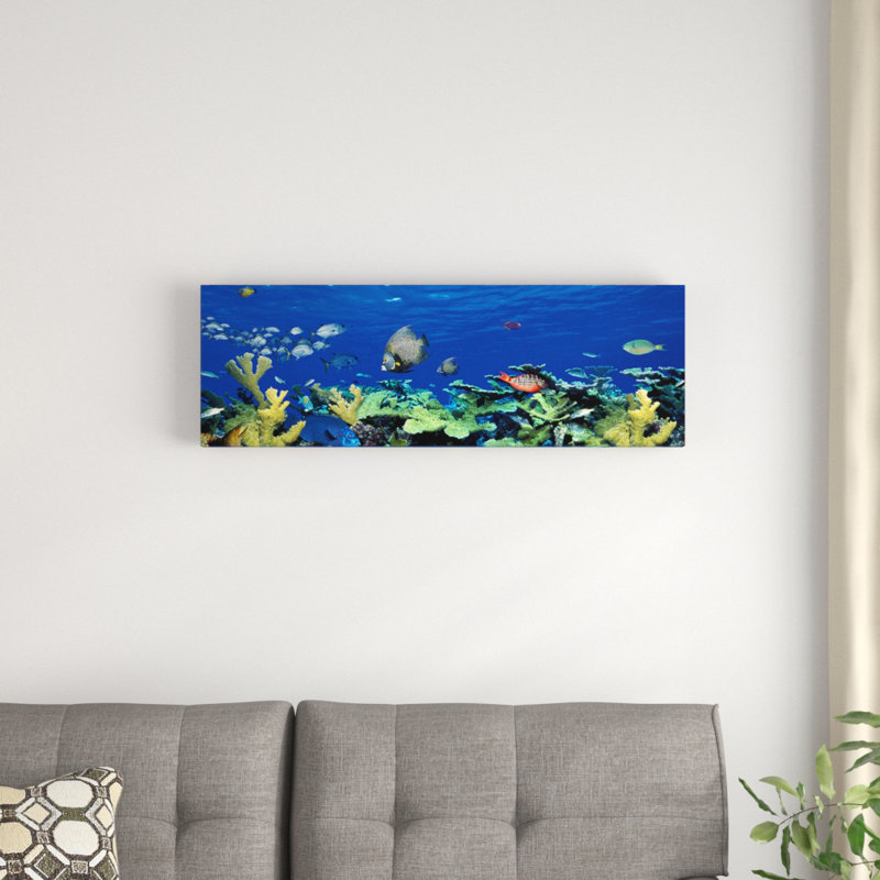 " School Of Fish Swimming In The SeaDigital Composite " by Panoramic Images, 12" H x 36" W x 1.5" D, Wrapped Canvas