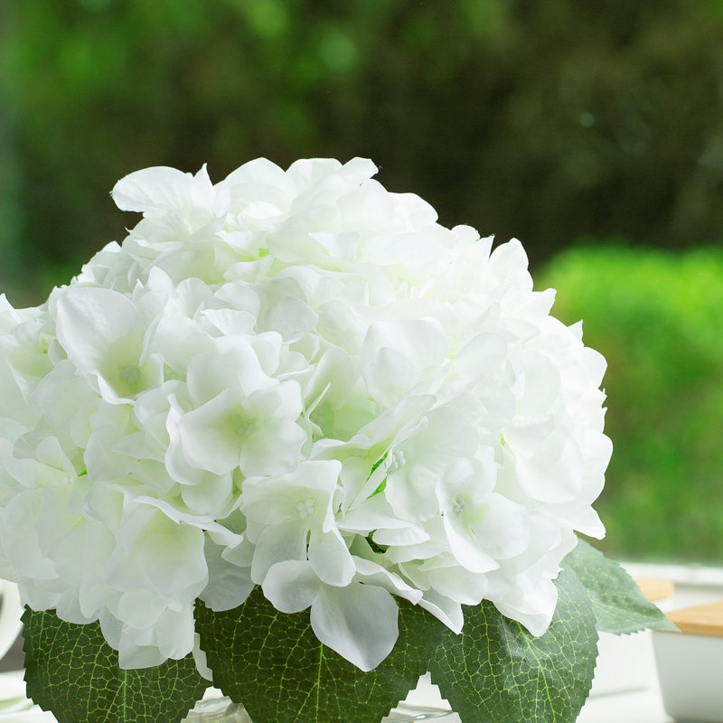 Arrangement d'hortensias dans un vase, Crème