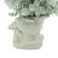 Eucalyptus Arrangement In A Shell Vase.