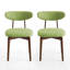 Ensemble de chaises de salle à manger rembourrées 2 pièces Modern-2007110662