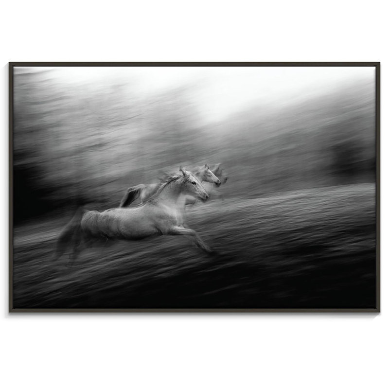 Print on Canvas, 102cm H x 152cm W, Black Floater Frame