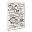 Study of Fish LXL by Oliver Goldsmith - Wrapped Canvas Drawing - Wrapped Canvas-55338477